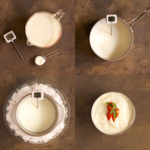 Homemade Yogurt: Easy, High-Quality, Low-Cost